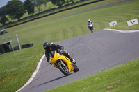 Lower Group Yellow Bikes